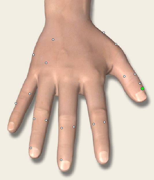 Back of a hand with acupuncture points marked by small dots.