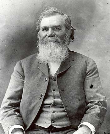 Portrait of D.D. Palmer, an older man with a full white beard, wearing a dark suit.